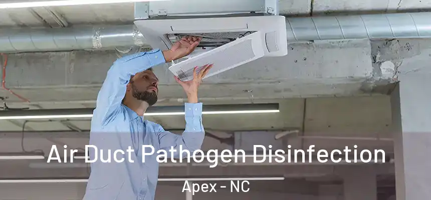 Air Duct Pathogen Disinfection Apex - NC