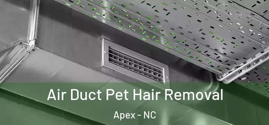 Air Duct Pet Hair Removal Apex - NC