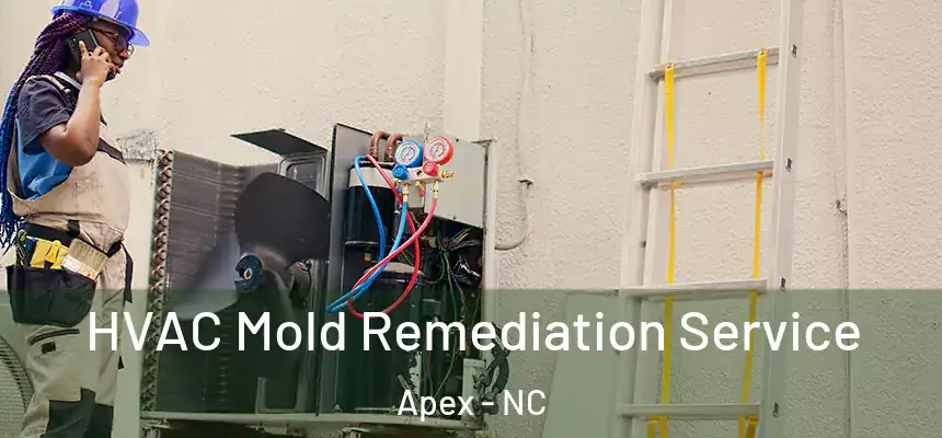  HVAC Mold Remediation Service Apex - NC