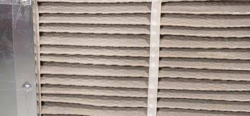 Mobile Car AC Filter Replacement in Apex