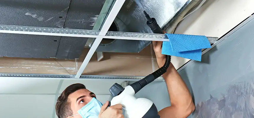 Our Air Duct Rodent Removal Services in Apex, NC