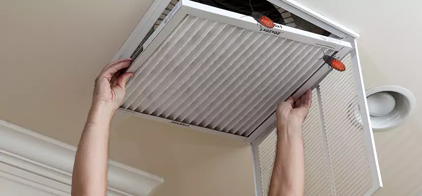 Our Insect Removal from Air Ducts Services in Apex, NC