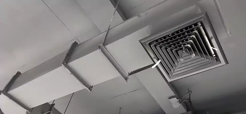 Our Pest Removal From Ducts Services in Apex, NC