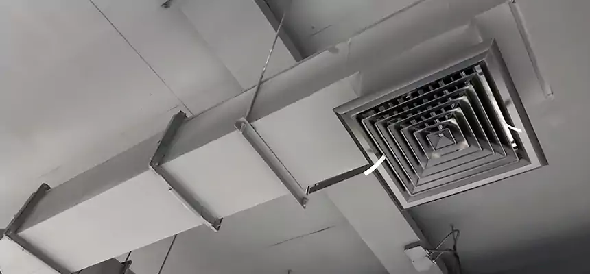 Our Rodent Droppings In Vents Services in Apex, NC