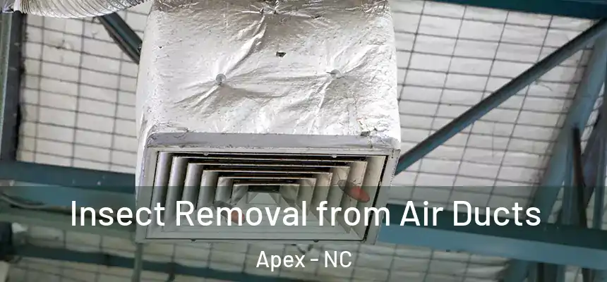 Insect Removal from Air Ducts Apex - NC