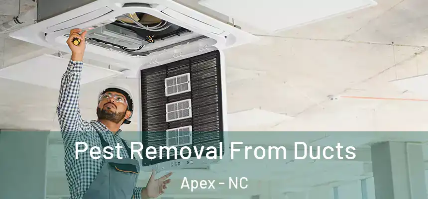  Pest Removal From Ducts Apex - NC
