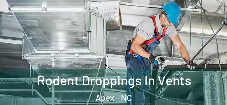  Rodent Droppings In Vents Apex - NC