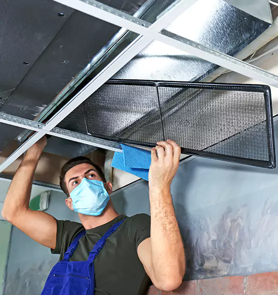About Air Duct Bacteria Removal in Apex