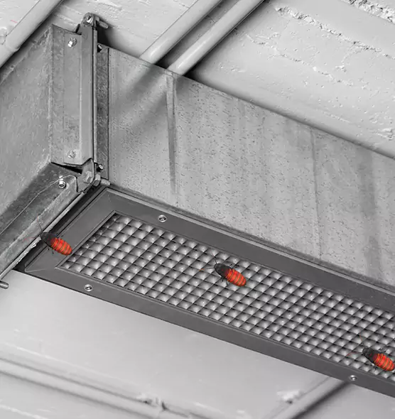 About Air Duct Cockroach Removal in Apex, NC