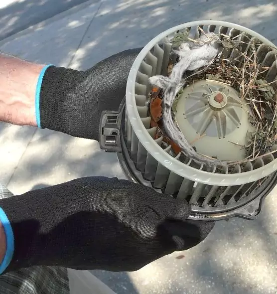 About Air Duct Mice Removal in Apex, NC