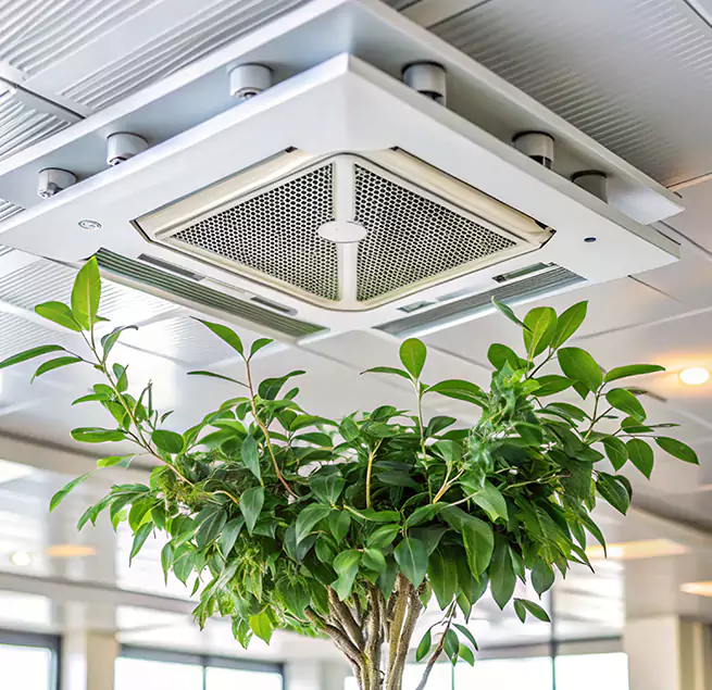 Why Homeowners & Businesses Trust Us in Apex, NC