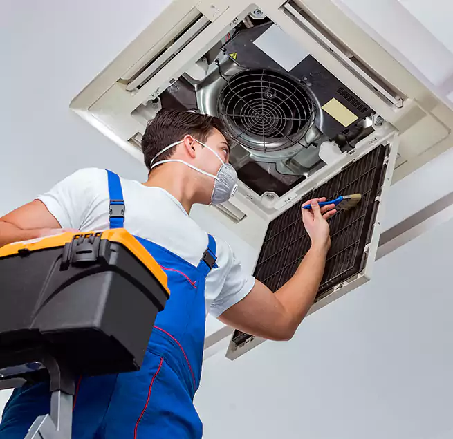 Why Homeowners & Businesses Trust Us in Apex, NC?