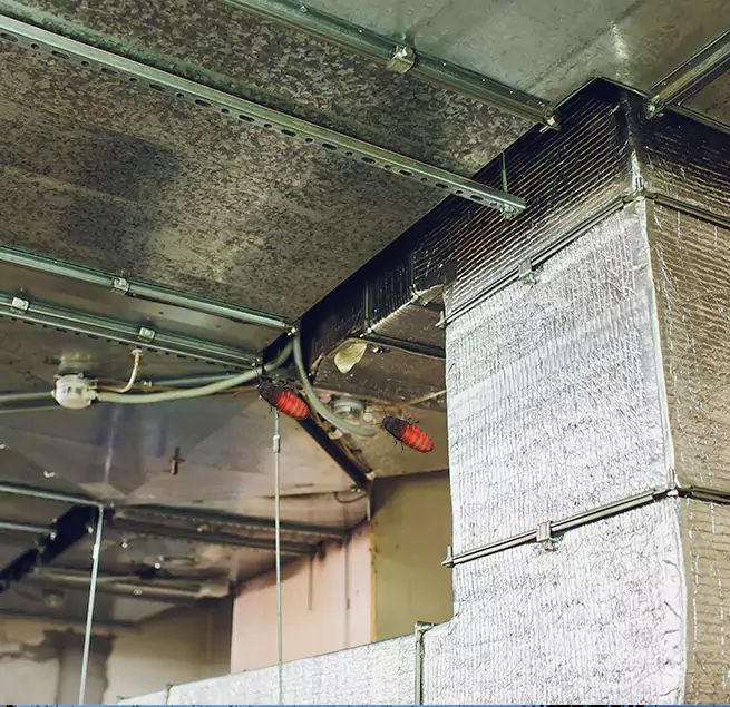 Why Homeowners & Businesses Trust Us Apex, NC?