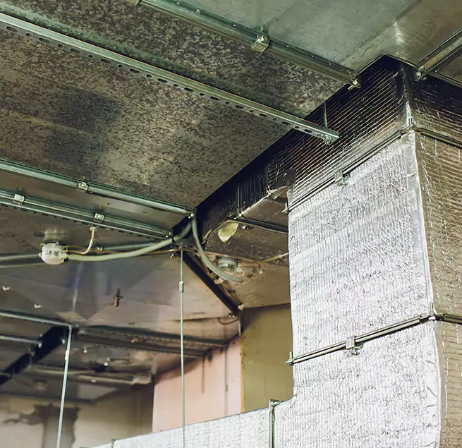 Why Homeowners & Businesses Trust Us in Apex, NC?