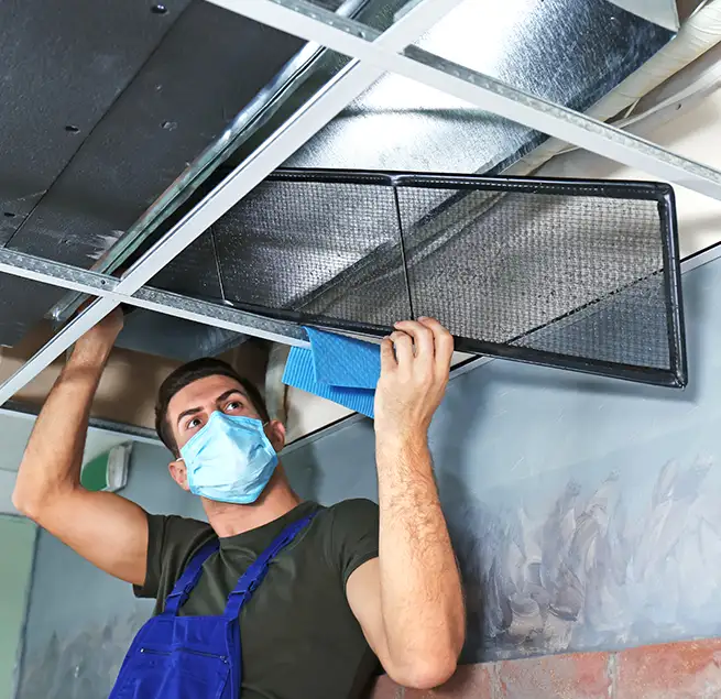 Why Homeowners & Businesses Trust Us in Apex, NC?