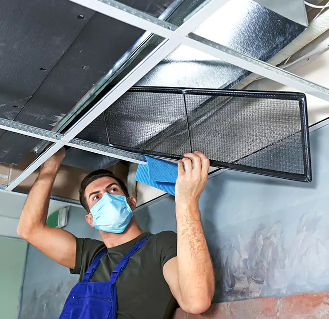  Why Homeowners Businesses Trust Us  in Apex, NC?